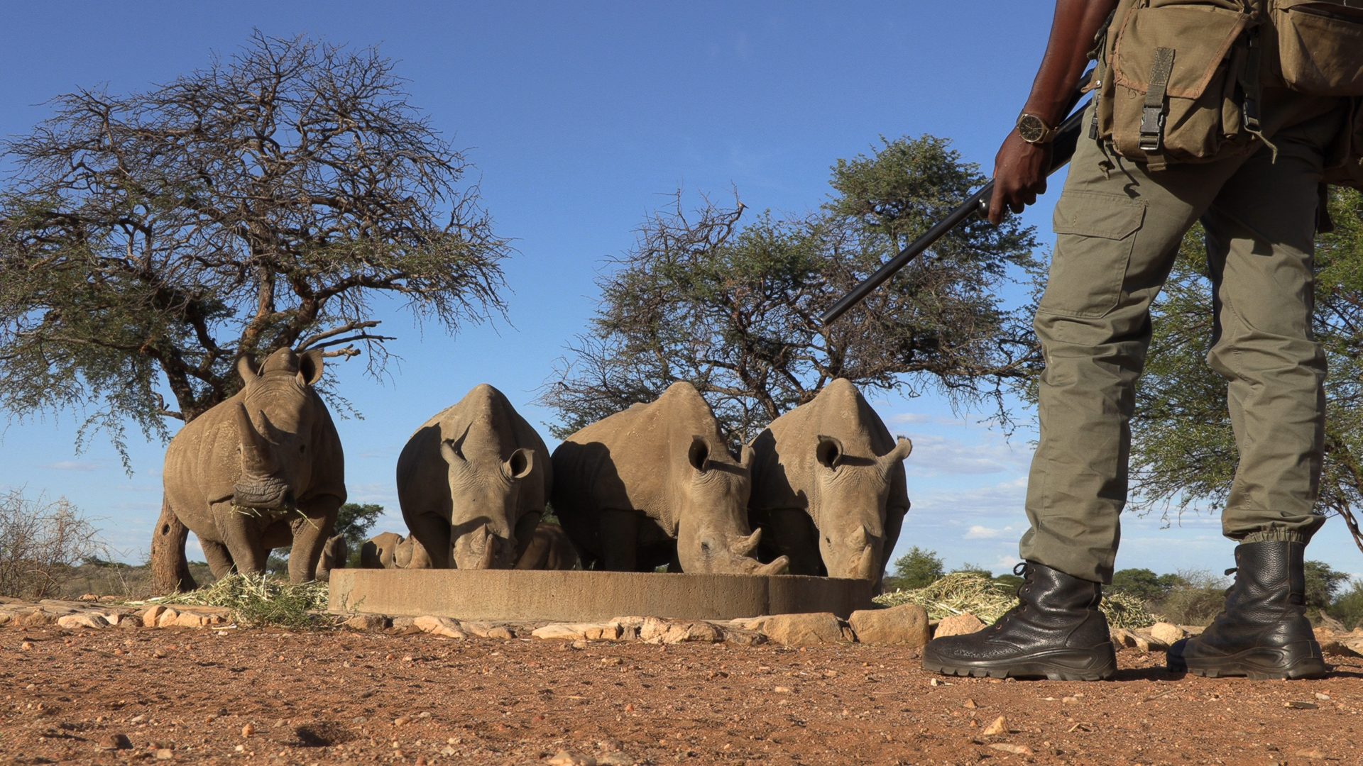 Anti Poaching Unit incl K9 (anti-stroperijteams)